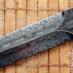 IMG_1558